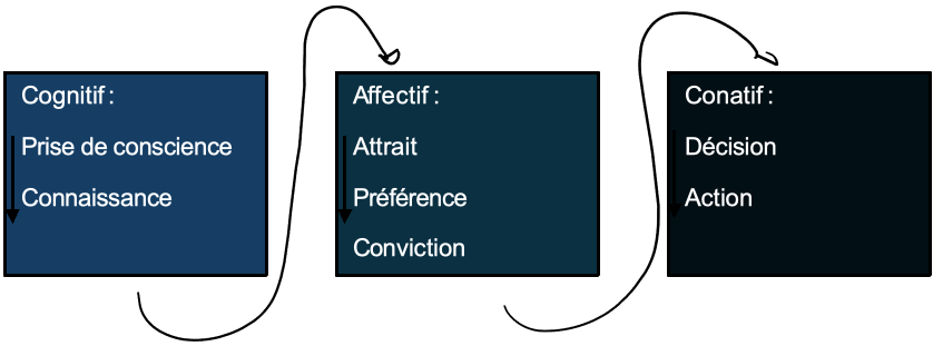 Schéma des trois étapes du parcours : cognitif (prise de conscience, connaissance), affectif (attrait, préférence, conviction), conatif (décision, action).